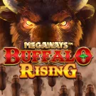 Buffalo Rising Megaways