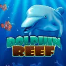 Dolphin Reef demo