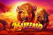 buffalo slot demo