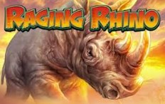 Raging Rhino